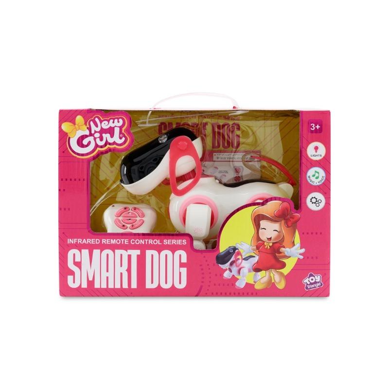 New Girl Smart Dog