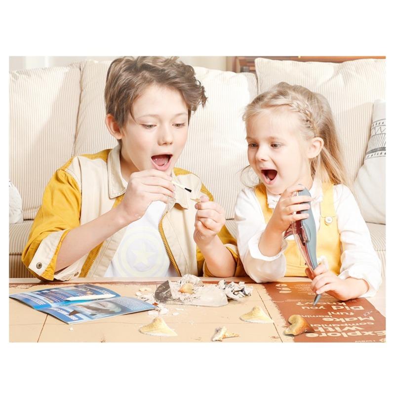 3D Shark Anatomy Set