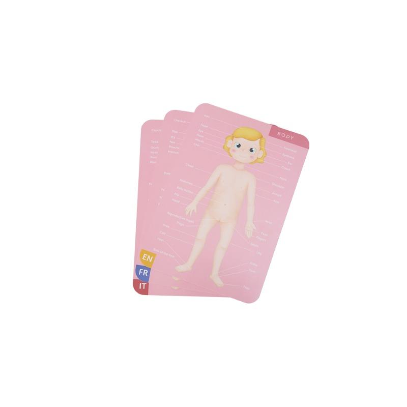 Human Body Puzzle Toy