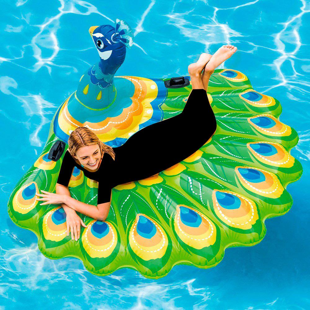 إنتكس - عوامة الطاووس