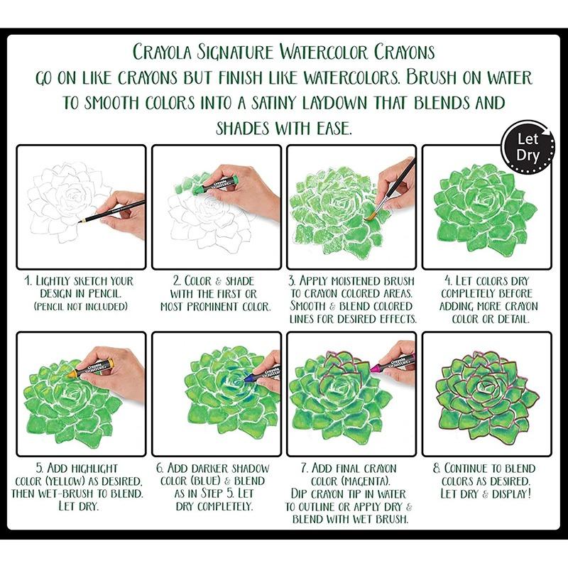 كرايولا - عصي تلوين مائية فاخرة وفرشاة طلاء من سيجنتشر - 12 قطعة