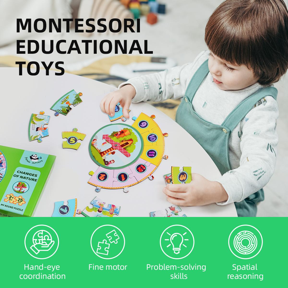 بازل دائري تغيرات الطبيعة