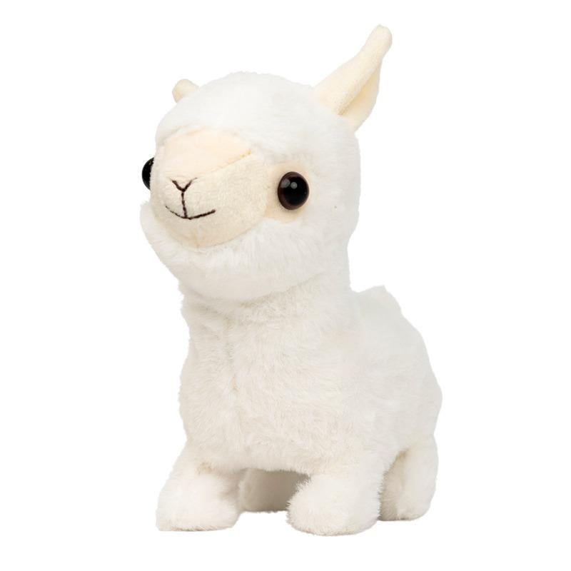 Pugs At Play Paris The Walking Lama