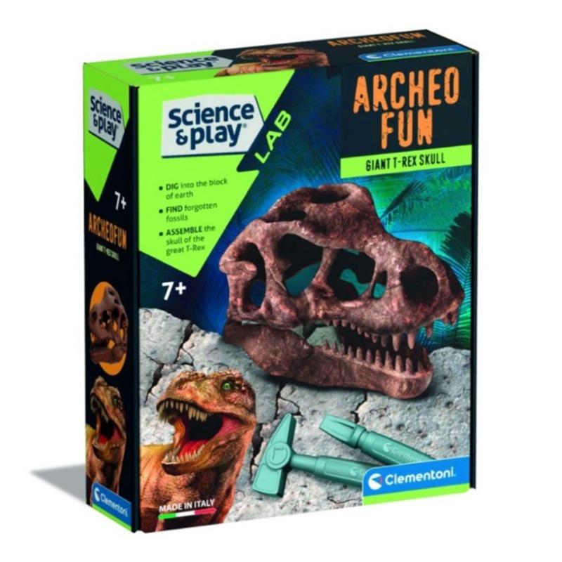 كليمنتوني - مجموعة حفرية جمجمة الديناصور أرتشيو تي ريكس العملاقة