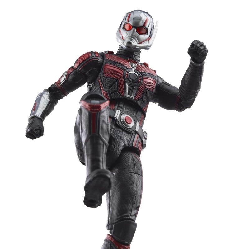 Marvel Legends Series Ant-Man Action Figure
