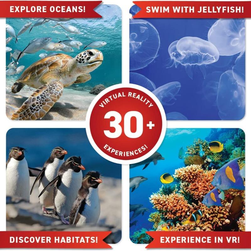 أبيكوس - مجموعة علوم الواقع الافتراضي نشاط عالم المحيطات