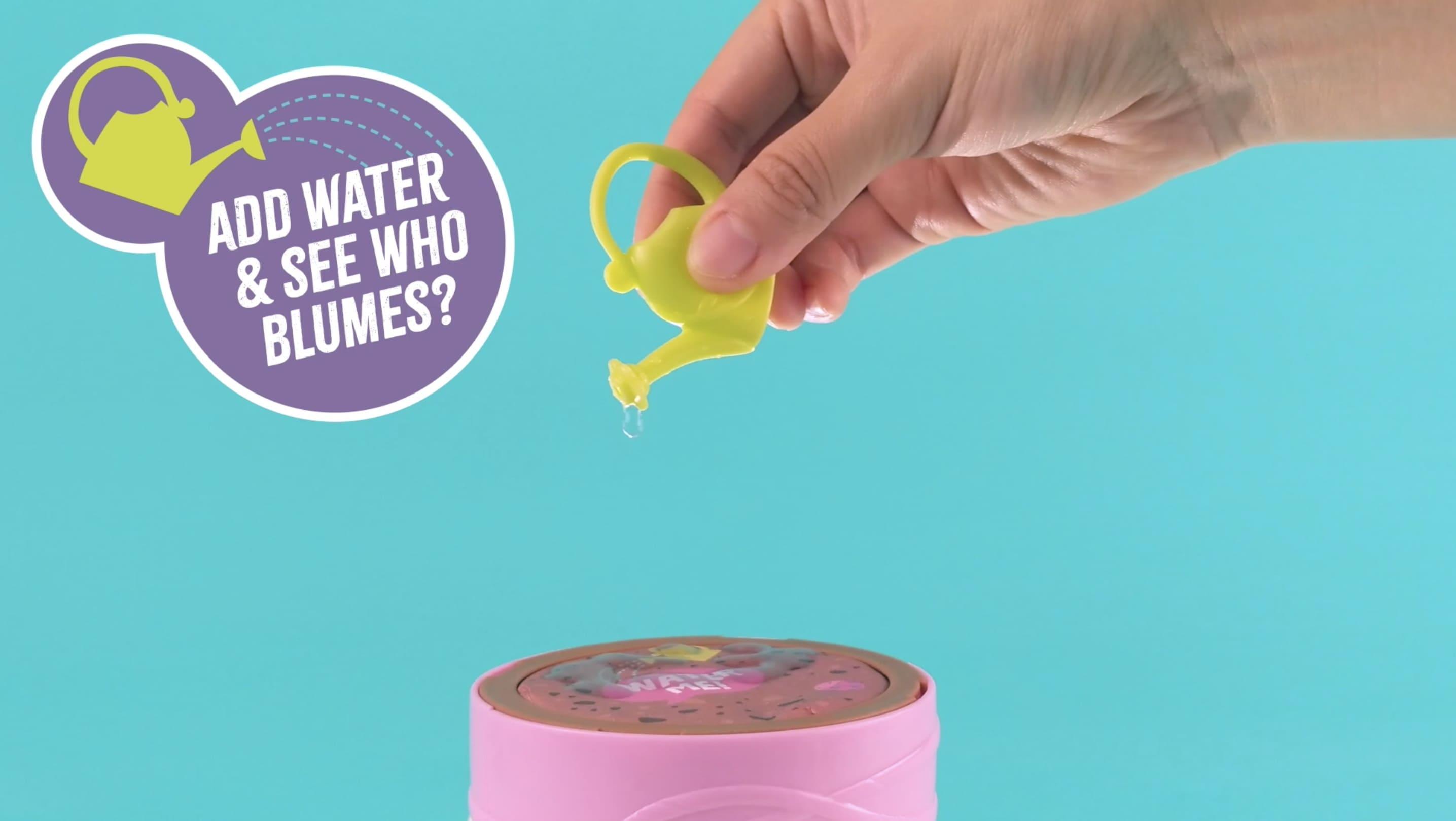 بلوم - دمية الزهور