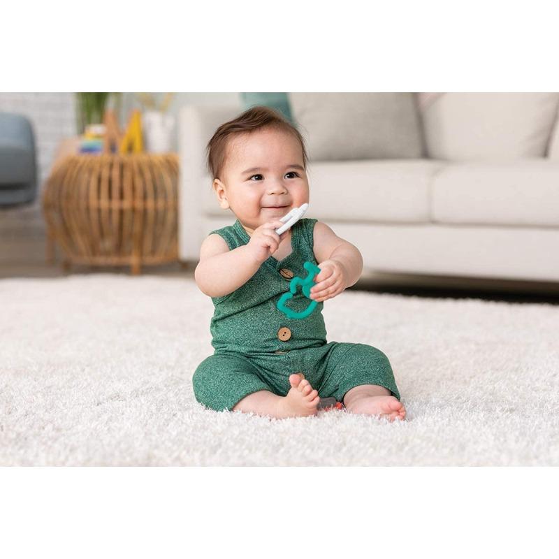 إنفانتينو - عضاضة وخشخيشة