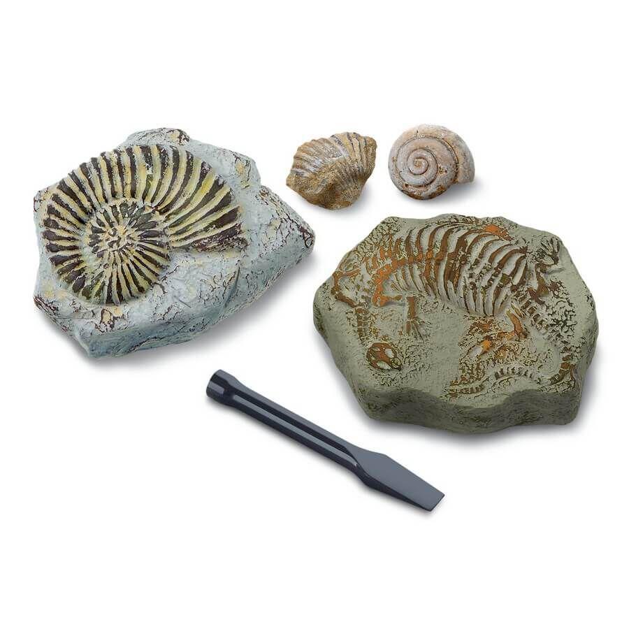Discovery Mindblown Excavation Mini Fossil 2 Pcs