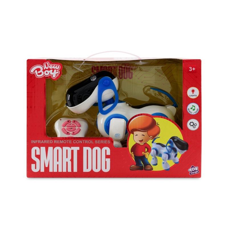 New Boy Smart Dog