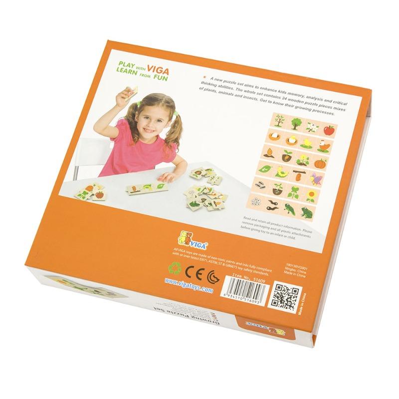 فيجا - مراحل النمو