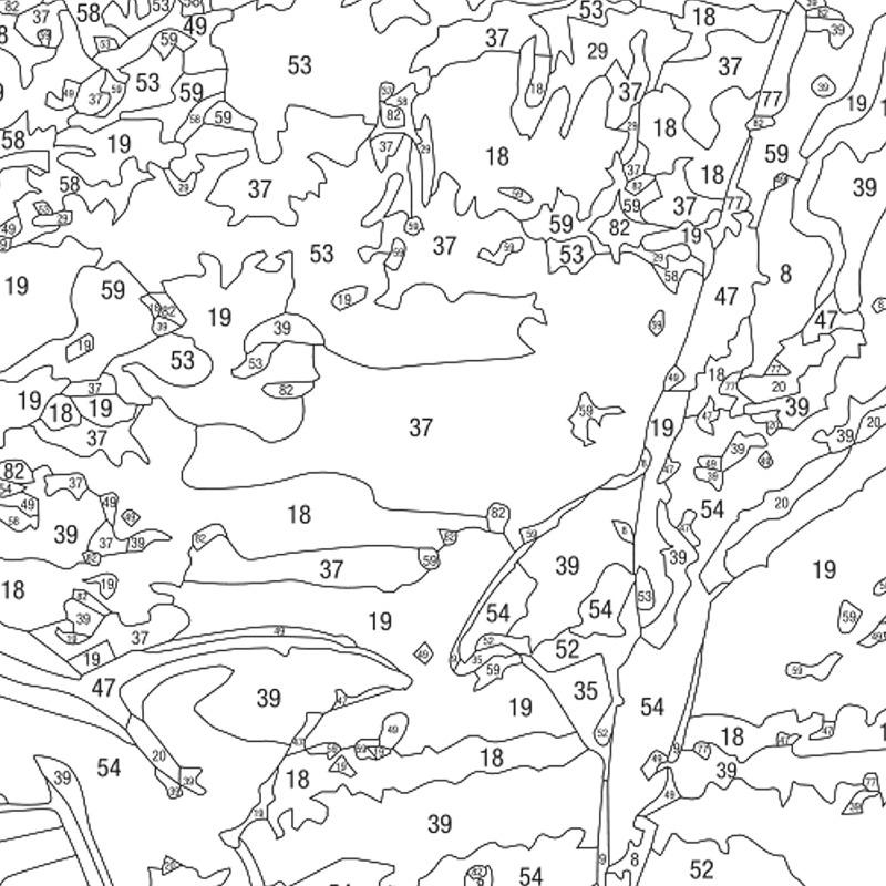 هينكلر - مجموعة طلاء اللوحة القماشية بالأرقام بتصميم الدولفين