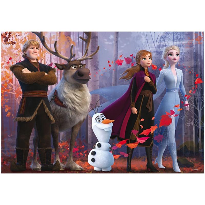 Disney Frozen2 - Maxi Puzzle Double Face