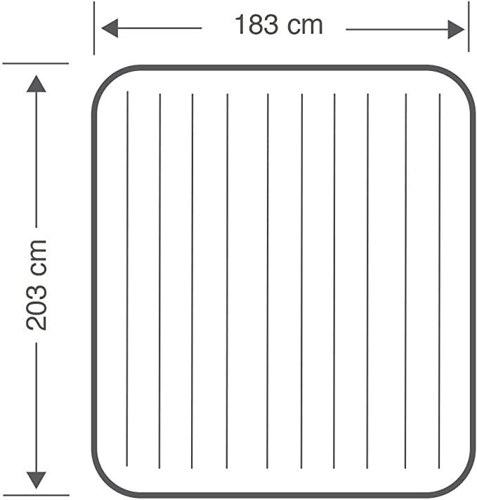 Intex king Dura Beam AirBed