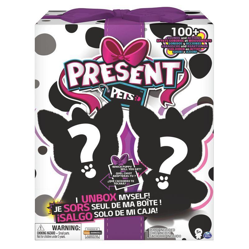 بريزنت بيتس - فانسي بوبي