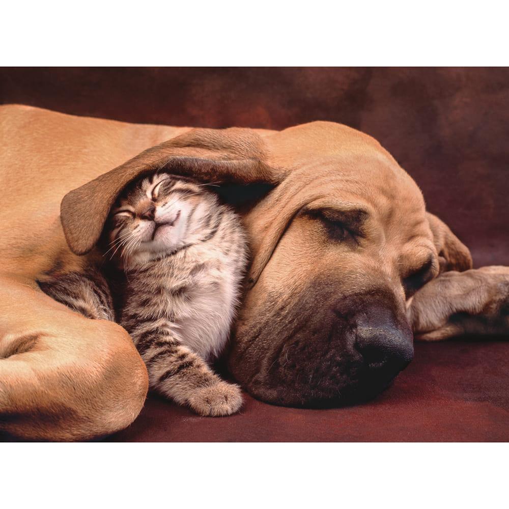 Clementoni Cuddles Puzzle 500 Pieces