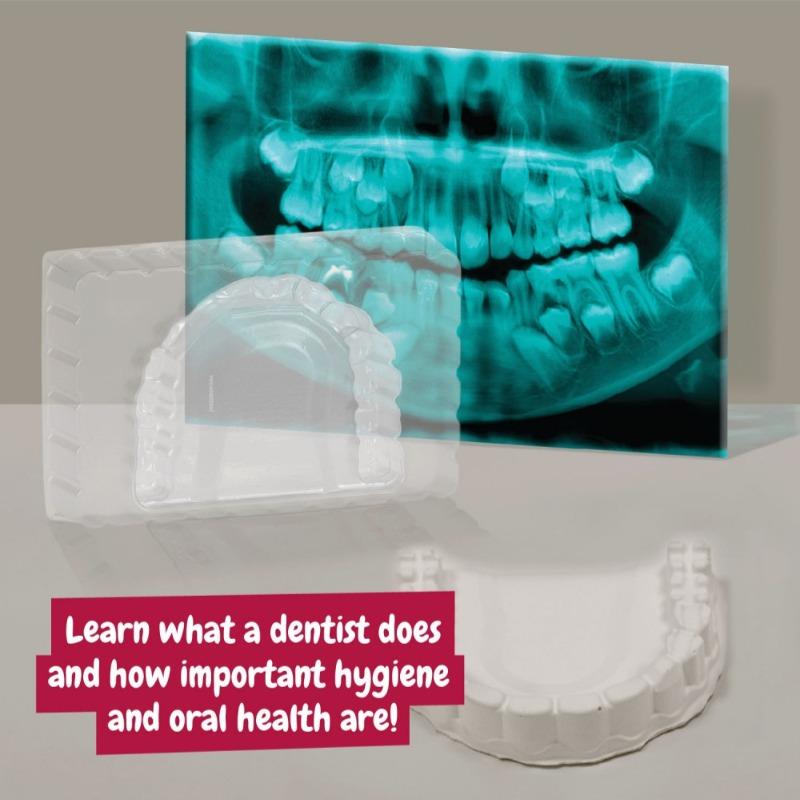 ساينس 4 يو - طقم طبيب الأسنان الأول الخاص بي