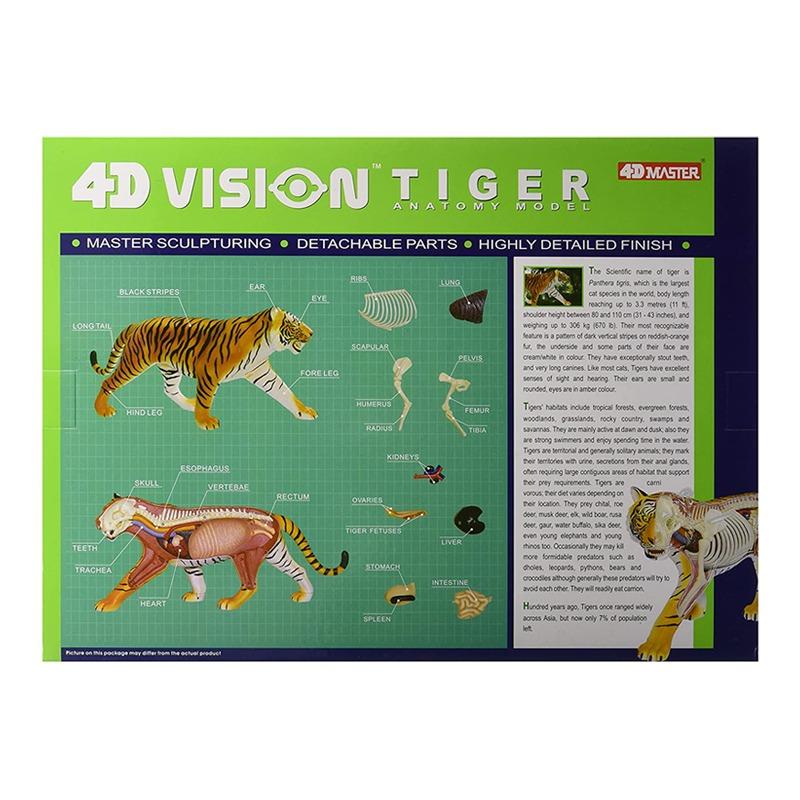 المجموعة التعليمية لتشريح النمر