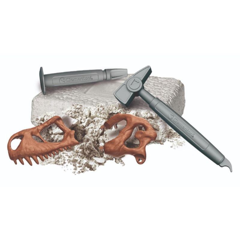 كليمنتوني - مجموعة حفرية جمجمة الديناصور أرتشيو تي ريكس العملاقة