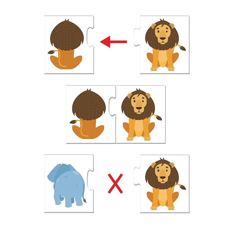 فرانك - بازل باك اند فرونت 40 قطعة