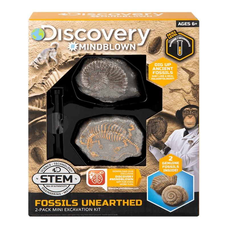 Discovery Mindblown Excavation Mini Fossil 2 Pcs