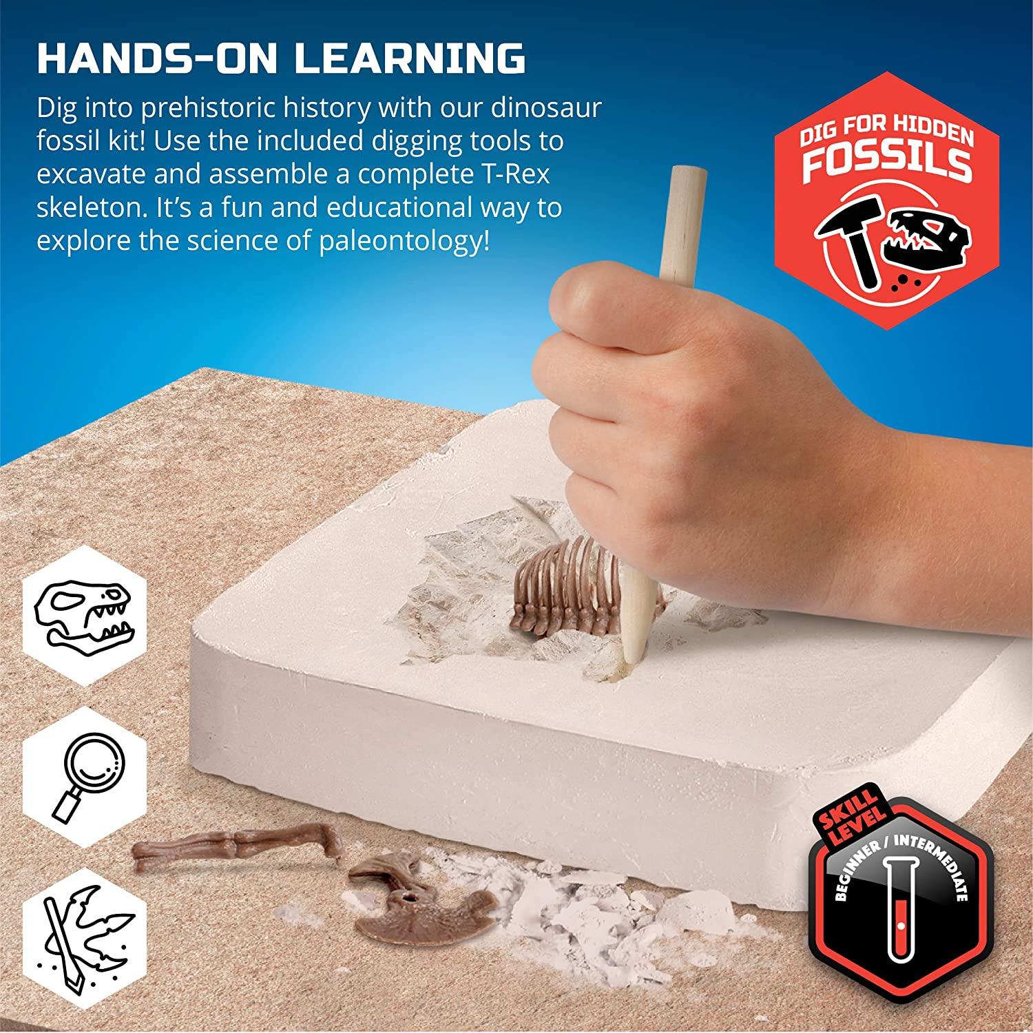 Discovery Mindblown Dinosaur 3D Fossil Dig Excavation Kit - 15 Pcs