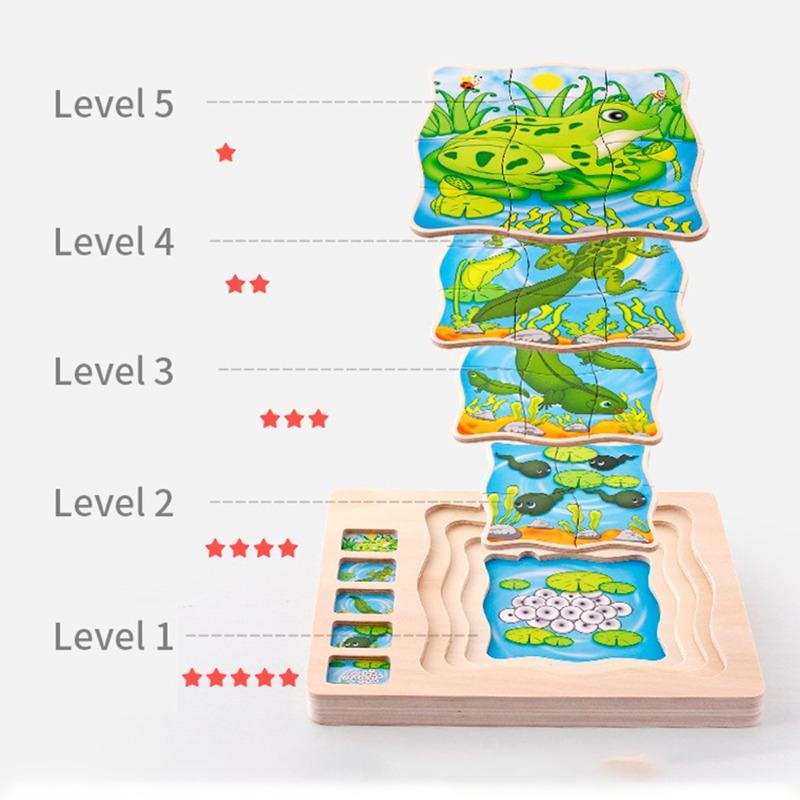 Onshine Wooden Frog Block Puzzle