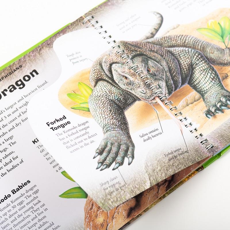 Incredible Reptiles And Amphibians Book Wild Life