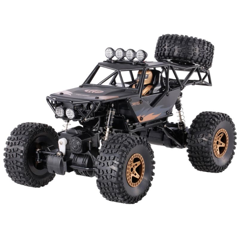 Buy 1 Get 1 Free RC Spray Car + Metal Alloy