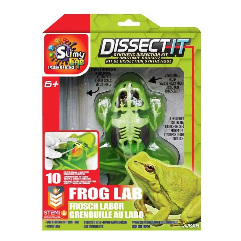 Dissect It Synthetic Dissection Kit Frog Lab