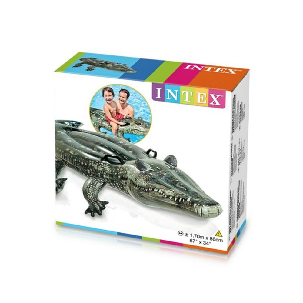 إنتكس - عوامة التمساح