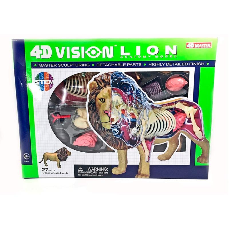 المجموعة التعليمية لتشريح الأسد