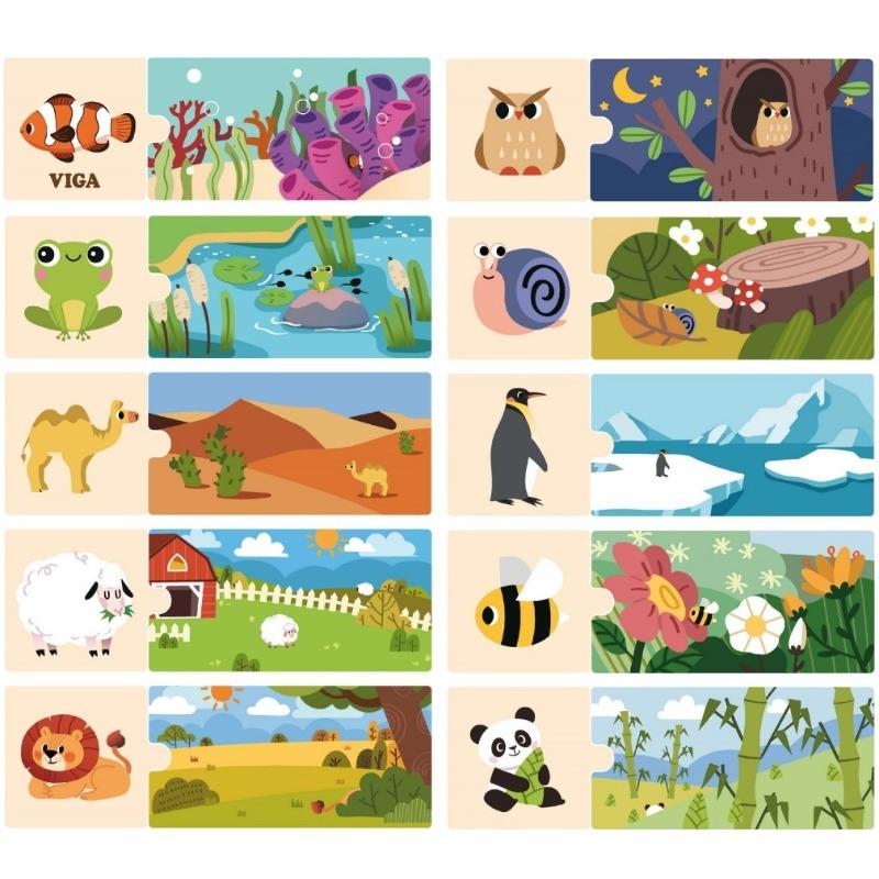 فيجا - مجموعة بازل ماي هوم