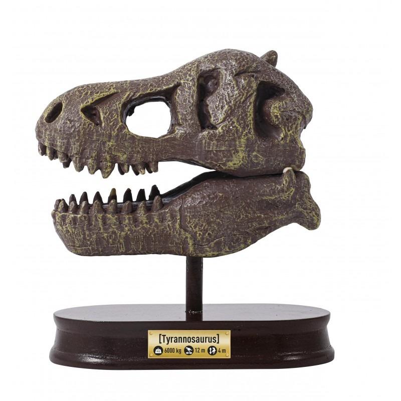 Buki - Museum Skull - T-Rex