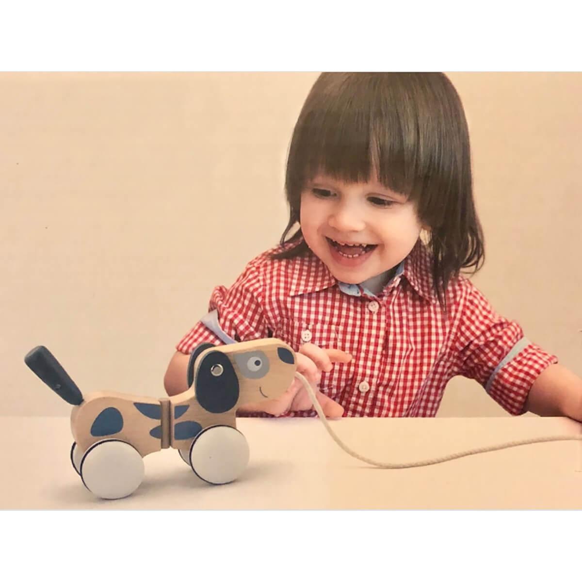 فيجا - لعبة سحب الجرو