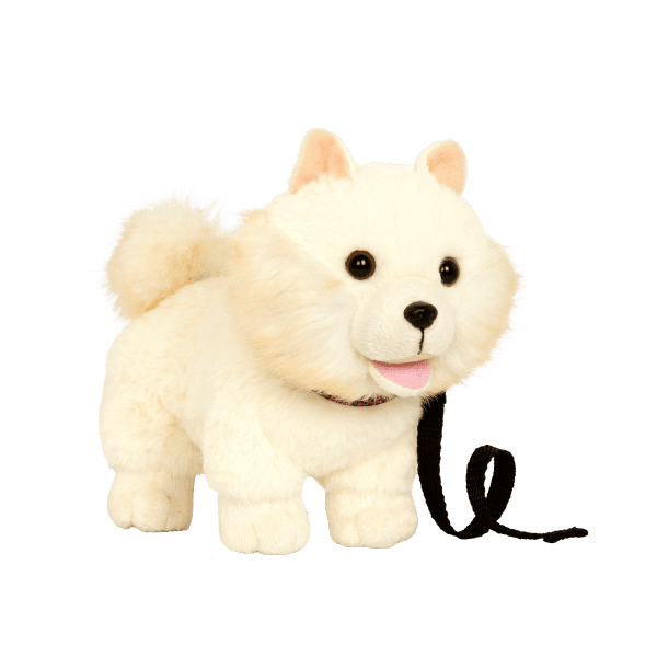 أور جنيريشن - الجرو بوب ذو الشعر الطويل