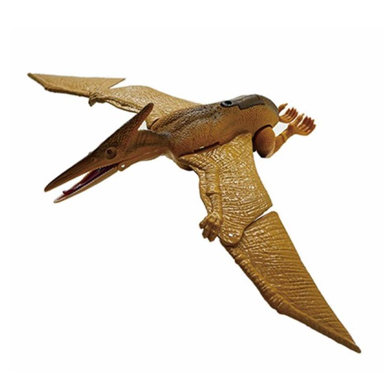 صندوق الديناصور الطائر العجيب