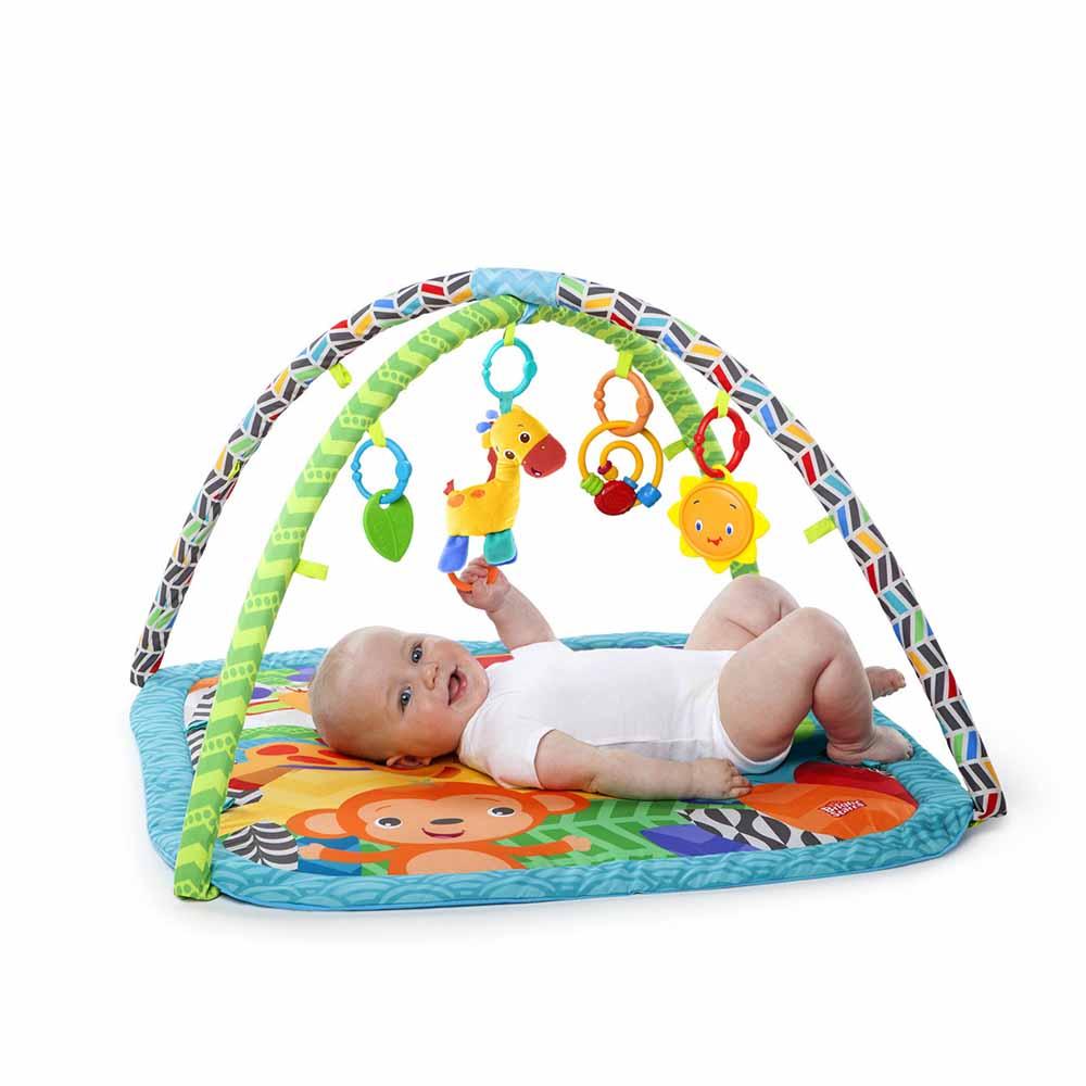Bright Starts - Bright Starts Zippy Zoo Activity Gym