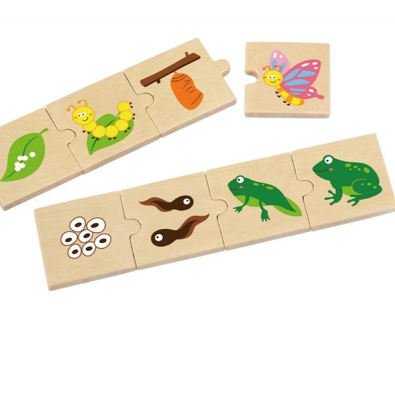 فيجا - مراحل النمو