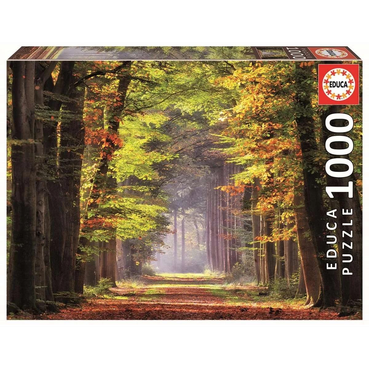 Educa Puzzles Autumn Road