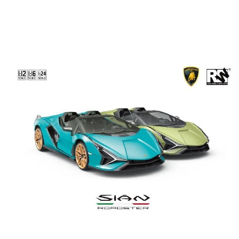 RW Remote Control 1:16 Scale Lamborghini SR - Assorted