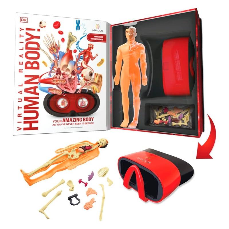 أبيكوس - مجموعة علوم الواقع الافتراضي نشاط التشريح البشري لجسم الإنسان
