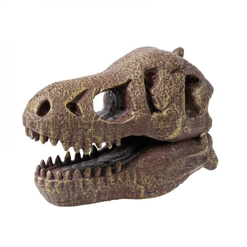 Buki - Museum Skull - T-Rex