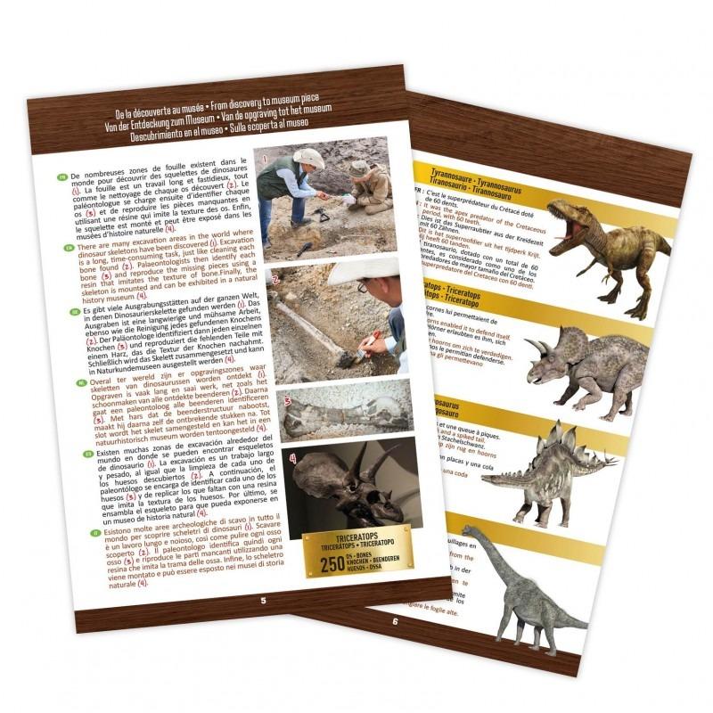 Buki - Museum Skull - T-Rex