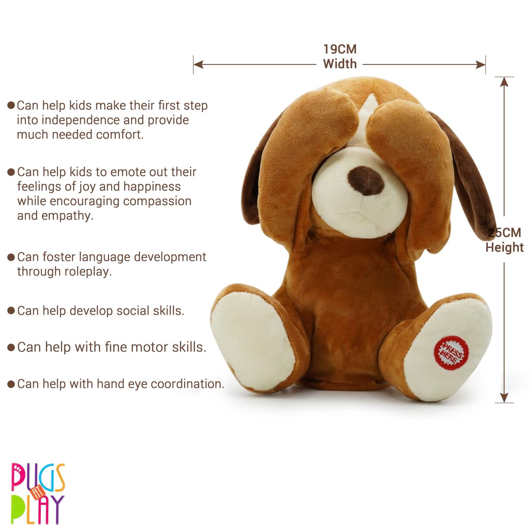 Pugs at Play Peek-a-Boo Dash the Dog Toy