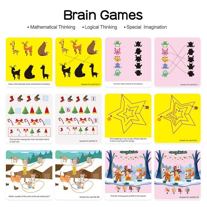 Wiple Clean Early Learning Cards - Brain Games