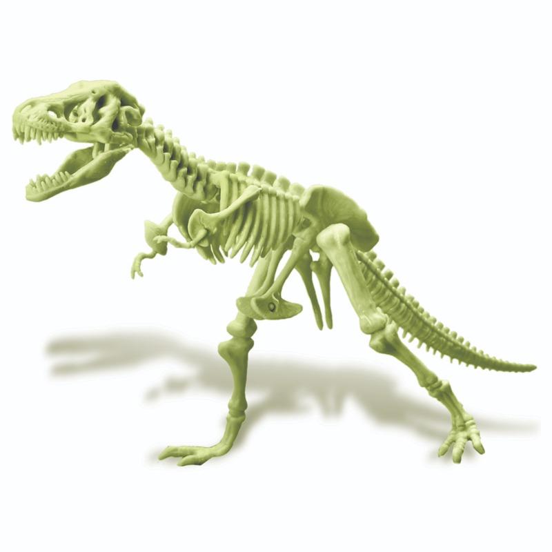 4M Glow T Rex Skeleton Science Educational Toy