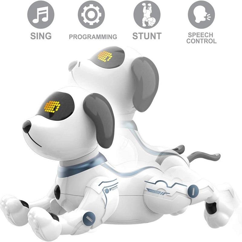 Robot Stunt Dog