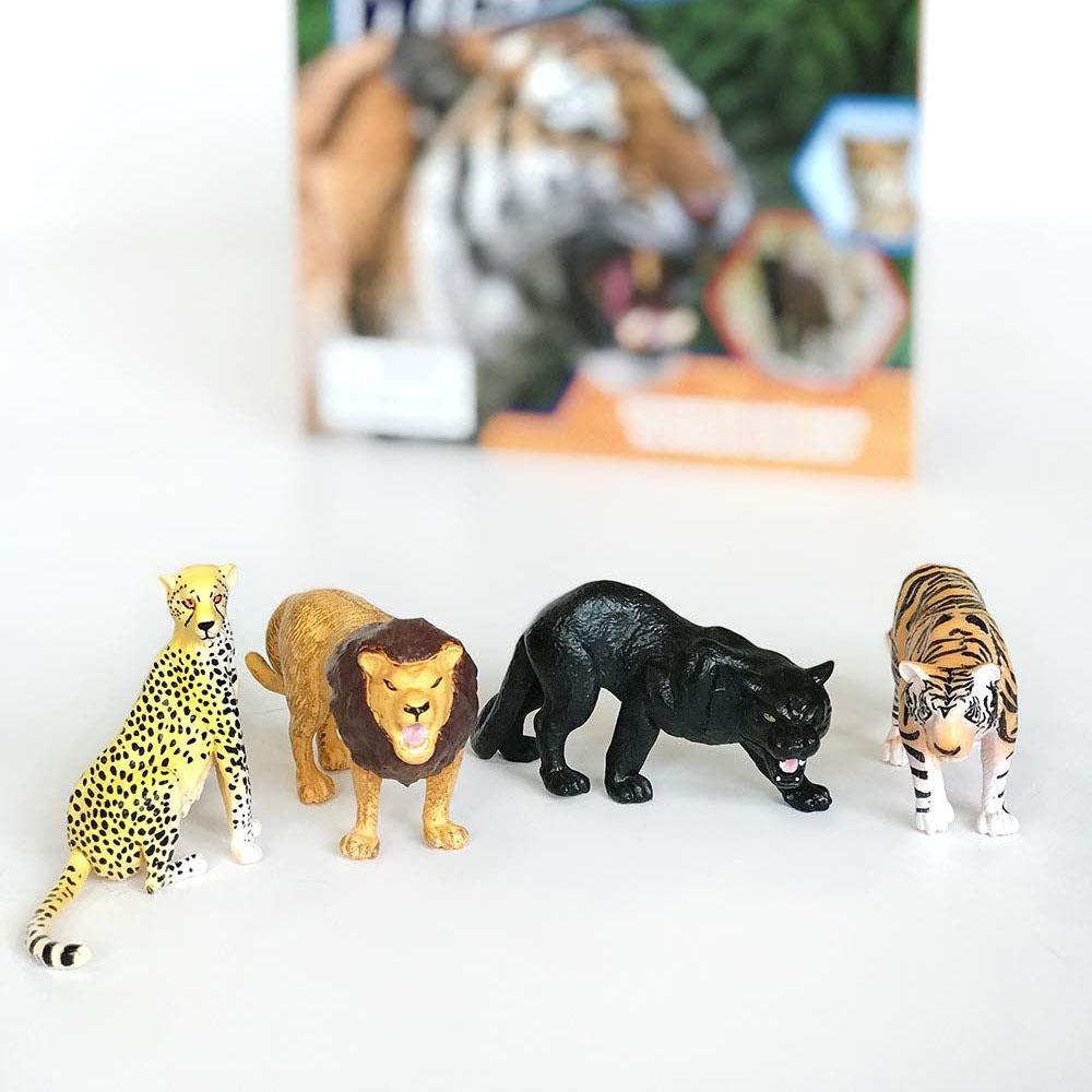 مجموعة بوكيت إكسبلورر - القطط الوحشية