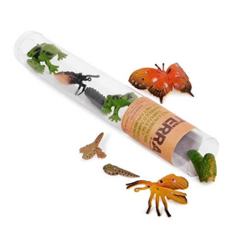 Terra Metamorphosis Animals Tube - 10pcs